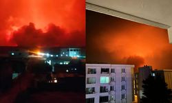 Diyarbakır ile Mardin arasında büyük yangın