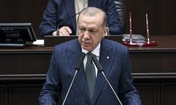 Erdoğan Toprak: Cumhurbaşkanı Erdoğan demokratikleşme yönünde siyasi irade ortaya koyabilir