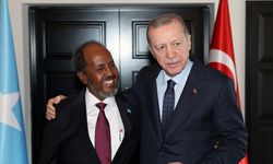 Erdoğan Toprak: Somali'yle imzalanan anlaşma Türkiye’yi bölgedeki çatışmalarda taraf olmak zorunda bırakabilir