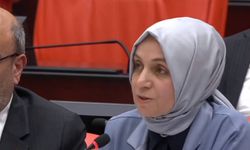 AK Parti Grup Başkan Vekili Leyla Usta: Kayyım atama niyetimiz yok, yeter ki vatana hizmet etsinler