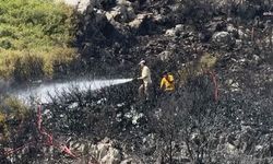 İzmir Orman Bölge Müdürlüğü’nden İzmir ve Manisa için yangın raporu