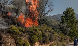 Yunanistan'daki orman yangınlarında bir kişi öldü