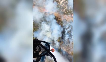 İzmir Foça’da orman yangını