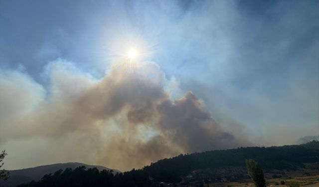 Muğla'daki orman yangını iki gündür sürüyor