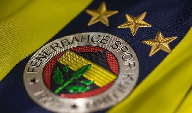 Fenerbahçe'nin UEFA Avrupa Ligi serüveni