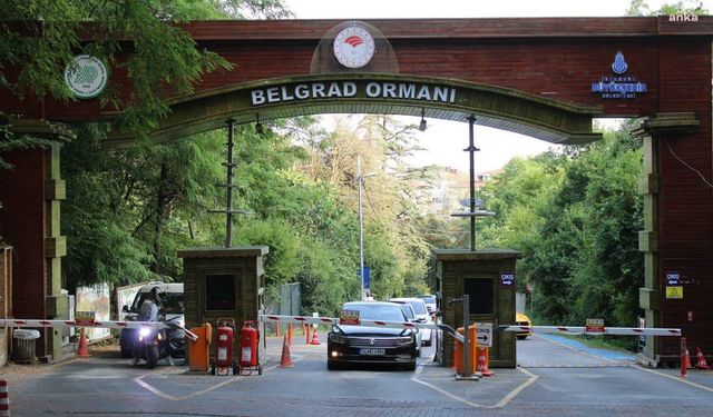 İBB'den Belgrad Ormanı'nda polis eşliğinde tahliyeye ilişkin açıklama: Mücadele sürecek