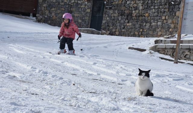 Meteoroloji'den çok sayıda il için yağış, çığ ve rüzgar uyarısı