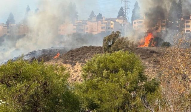 ABD'nin San Diego bölgesinde yangın riski sürüyor