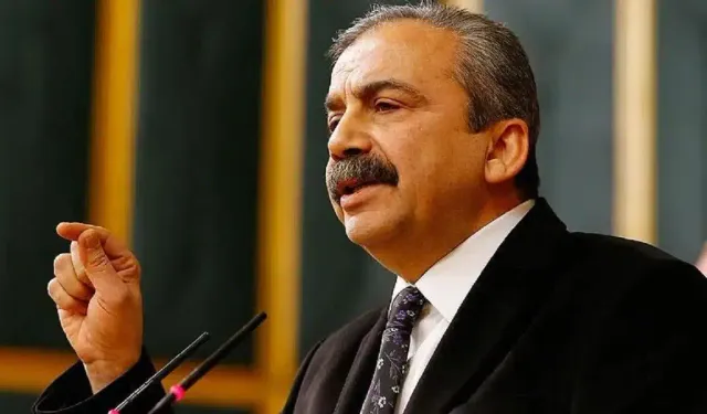 Sırrı Süreyya Önder: Erdoğan ve bazı AKP'lileri yargılatmak istiyorlar