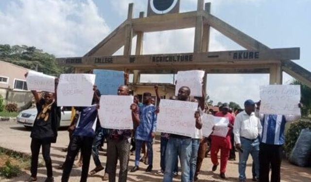 Dünyadan emek haberleri: Nijerya'da yargı personeli, Fransa'da öğretmenler grevde
