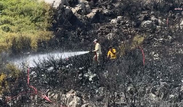 İzmir Orman Bölge Müdürlüğü’nden İzmir ve Manisa için yangın raporu