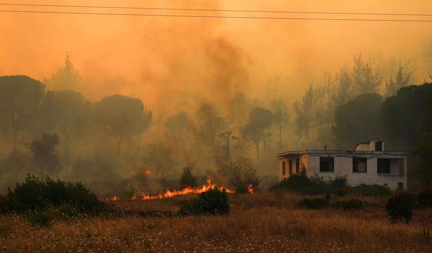 İzmir'de 5 ilçedeki yangınlara müdahale sürüyor