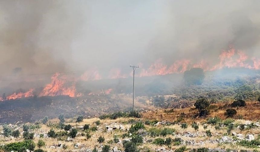İzmir’de yangın: Bir mahalle tahliye ediliyor