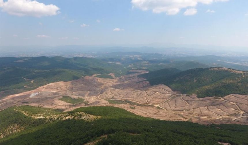 Son 20 yılda yanan alanların yaklaşık iki katı kadar orman alanı, maden ve enerji tesislerine verilmiş