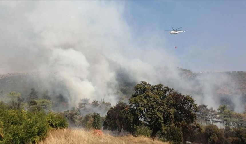 Antalya'da yerleşim yerleri yakınında orman yangını