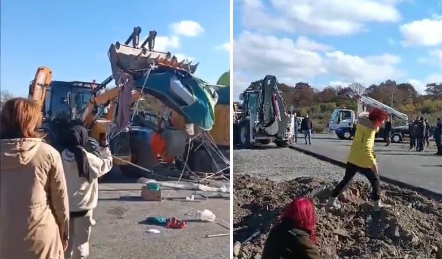 Gebze'de hayvan hakları savunucularının barınakları yıkıldı: Beş gözaltı