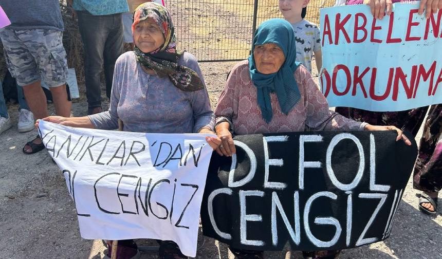 Kaz Dağları'nda Cengiz'in açmak istediği maden projesi için yürütmeyi durdurma kararı