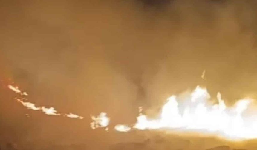 Mardin'de bir yangın daha: Yurttaşlardan destek çağrısı